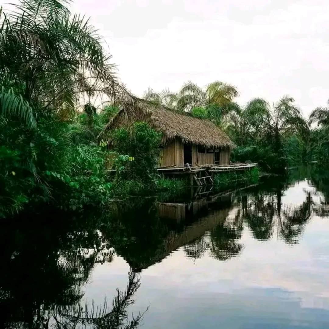 Pirogue Rivière Noire Adjarra